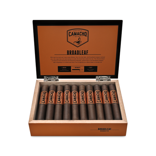 روبوستو عريض الأوراق